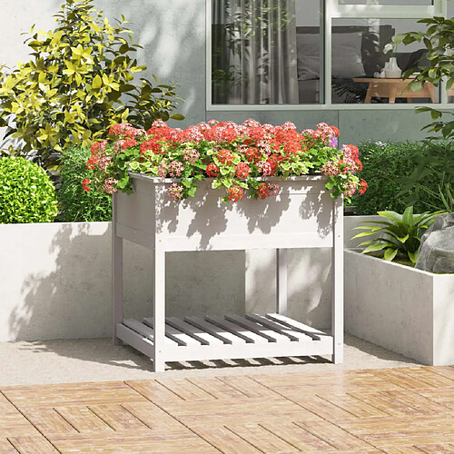 vidaXL Jardinière avec étagère Blanc 82,5x82,5x81cm Bois massif de pin