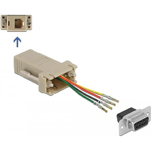 Delock Assembly Kit - Serieller Adapter - DB-9 (W) schraubbar bis RJ-11/RJ-14 (W) - individually assignable serial interface - Grau (66770)