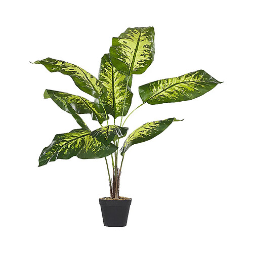 Beliani Plante artificielle DIEFFENBACHIA Vert