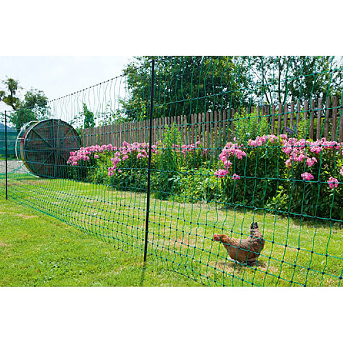 Ako Agrartechnik Filet poule 50m Hauteur 1,12m simple pointe PoultryNet