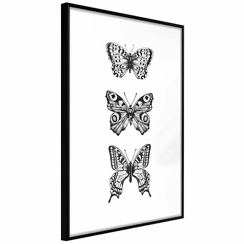 Paris Prix Affiche Murale Encadrée Butterfly Collection III 40 x 60 cm Noir