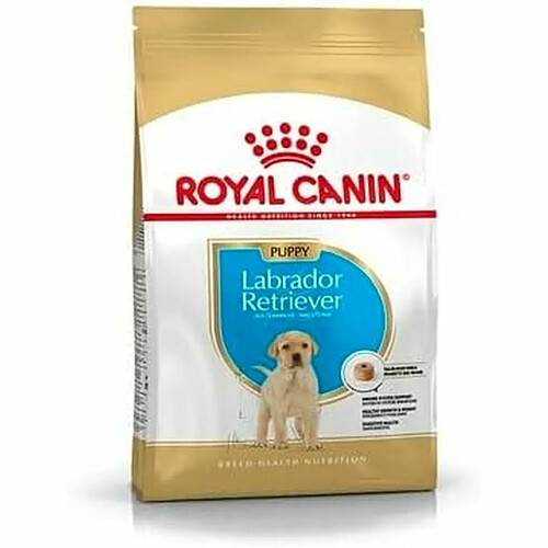 Nourriture Royal Canin Petit/Junior 3 Kg