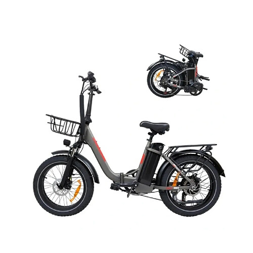 Autrement Vélo électrique Pliable BAOLUJIE DZ-2030 48V16AH,Moteur 750W 20*4.0”- Portée 80KM,40KM/H-Gris