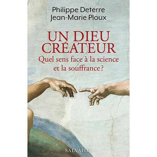 Un Dieu créateur : quel sens face à la science et la souffrance ? · Occasion