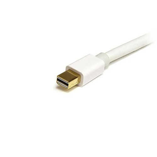 Startech Câble Mini DisplayPort mâle/mâle blanc (2 mètres)