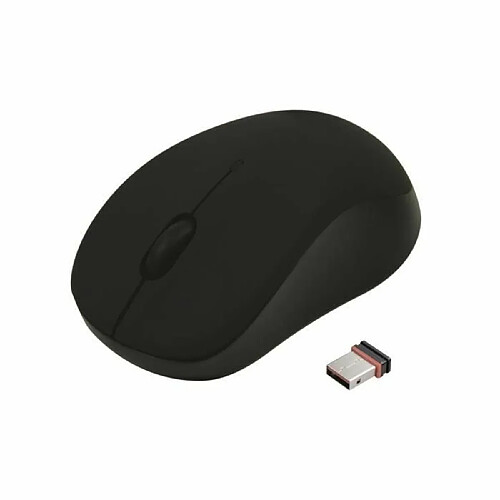 APM Souris Sans fil - Optique - Mac / PC - Noir