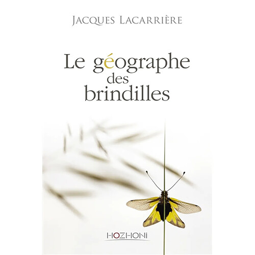 Le géographe des brindilles · Occasion