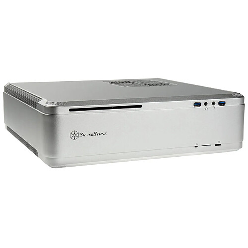 SilverStone FTZ01 (argent)