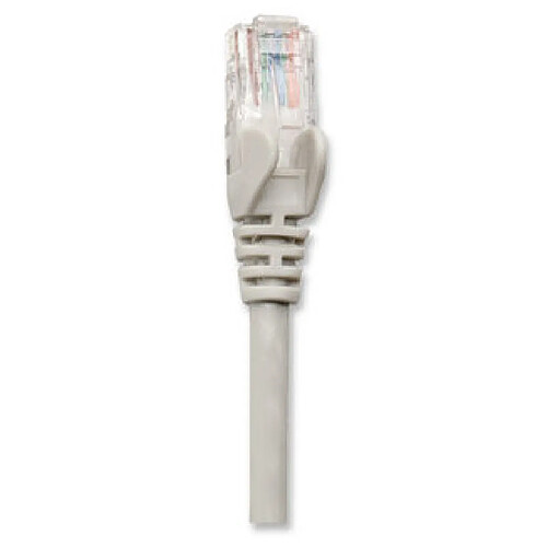 Disney Câble de raccordement réseau RJ45 CAT 5eSF/UTP Intellinet - [1x RJ45 mâle - 1x RJ45 mâle] - 2 m - gris