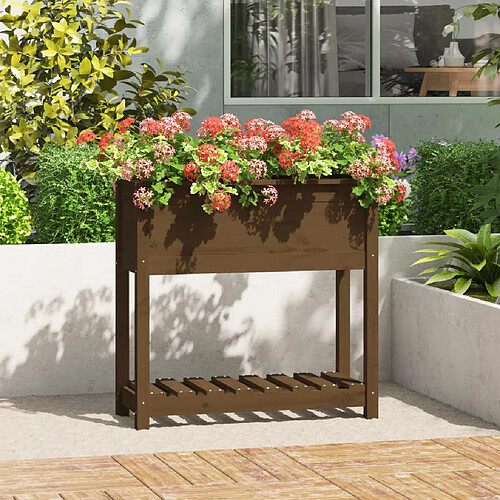 vidaXL Jardinière avec étagère Marron miel 82,5x34,5x81 cm Bois de pin