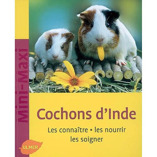 Cochons d'Inde : les connaître, les nourrir, les soigner · Occasion