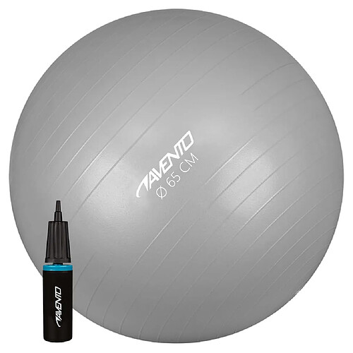 Avento Ballon de fitness/d'exercice avec pompe Diamètre 65 cm Argenté