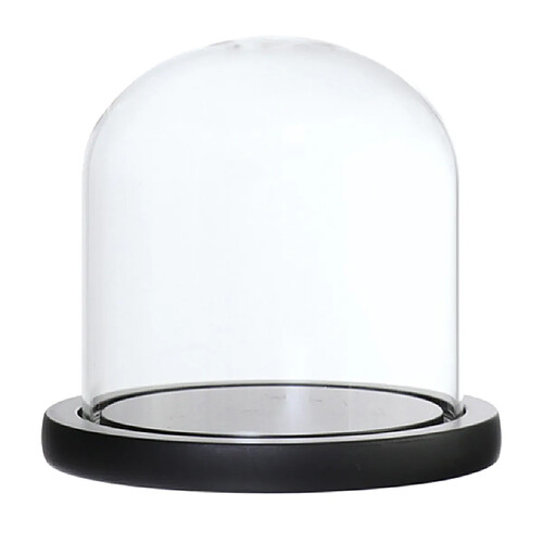 Cloche à Dôme En Verre Avec Base En Bois, Support De Paysage De Fleurs, Couvercle Noir E