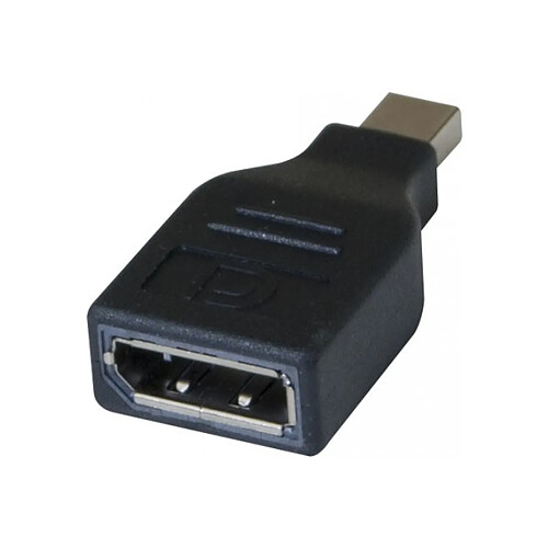 Abi Diffusion Adaptateur bidirectionnel Mini DisplayPort mâle / DisplayPort femelle