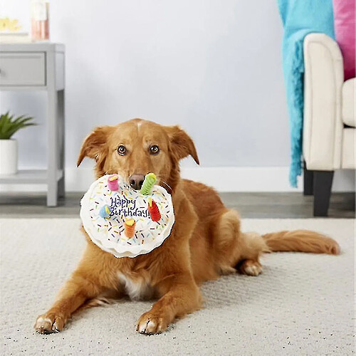 Jouet pour chien en peluche à mordre, en forme de gâteau d'anniversaire Jouets interactifs à mordre