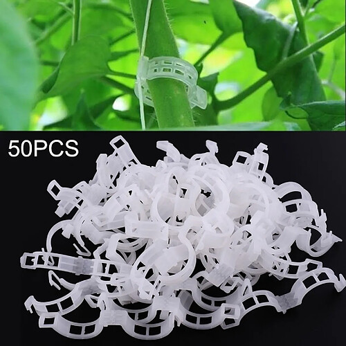 Wewoo Accessoire de jardinage 50 PCS 25mm en plastique clip fixe pince à cravate suspendue grue dossier vignes plante clip