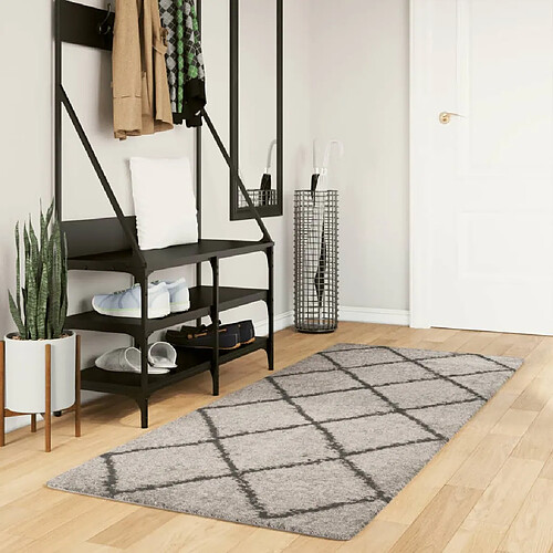 vidaXL Tapis shaggy à poils longs moderne beige anthracite 80x200 cm