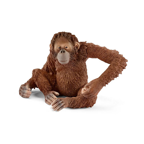 Schleich Orang-utan, Wife