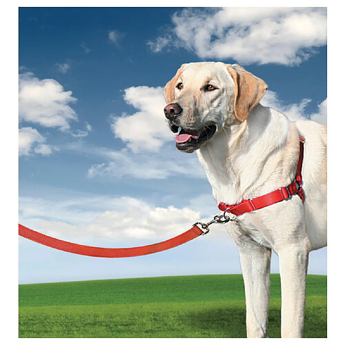 Harnais Easy Walk L pour Chien - PetSafe - Rouge