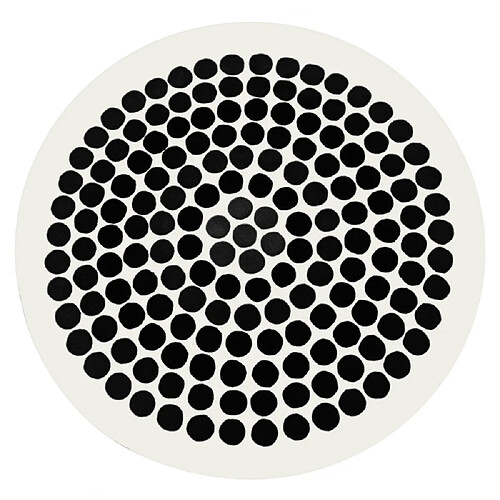 ICONIK INTERIOR Tapis Rond VA08 104cm Blanc / Noir