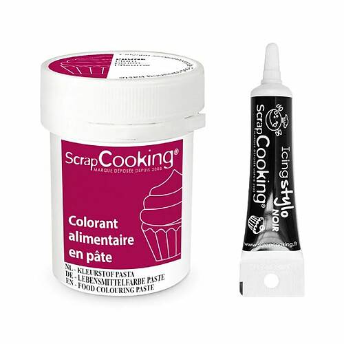 Scrapcooking Colorant alimentaire en pâte 20 g Prune + Stylo de glaçage noir