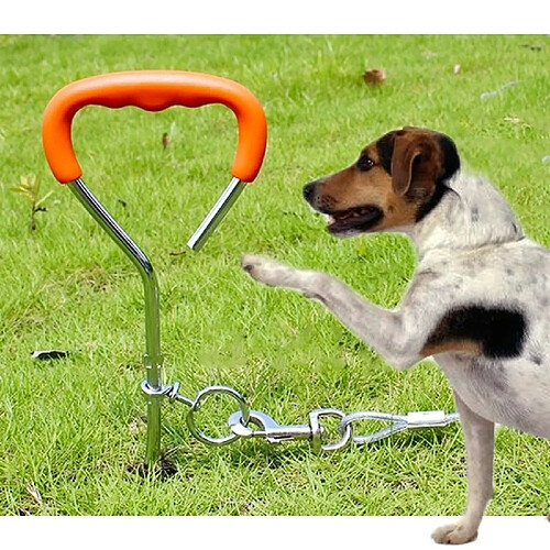 Wewoo Pour le dressage moyen de petit chien extérieur, taille: 45cm * 9mm Clou en spirale de fixation de poils de avec la poignée