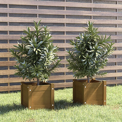 vidaXL Jardinières d'extérieur 2pcs Marron miel 31x31x31cm Bois de pin