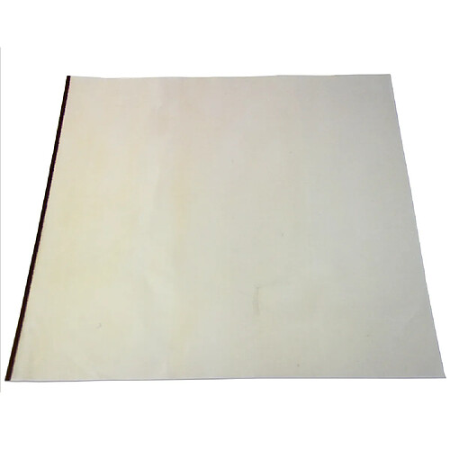 Monstershop 2 x Teflon Feuilles 48cm x 58cm