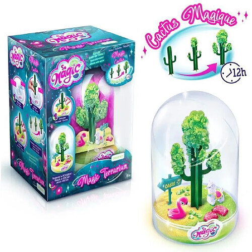 CANAL TOYS - SO MAGIC DIY - Large Terrarium Kit - DESERT - Fabrique ton propre Glitterarium !