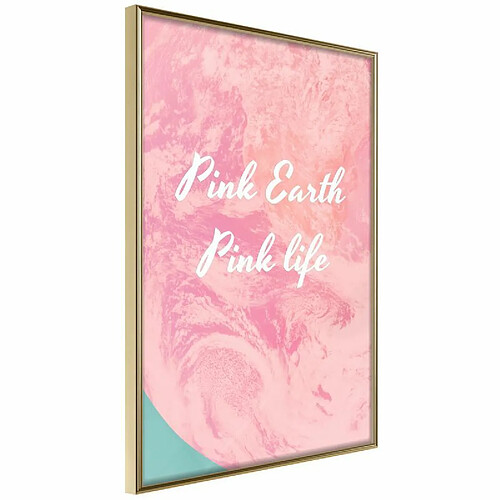 Paris Prix Affiche Murale Encadrée Pink Life 20 x 30 cm Or