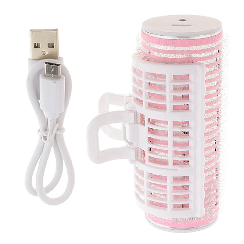 Pince à cheveux à rouleaux à double pont rechargeable USB