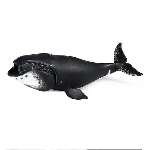 Universal Simulation Marine Life Model Toy Bowhead Whale Shark Prédance Éducation cognitive