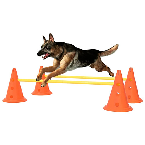 vidaXL Ensemble d'obstacles d'activité pour chien Orange et jaune