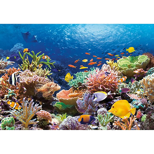 Coral Reef Fishes,Puzzle 1000 Teile - Castorland