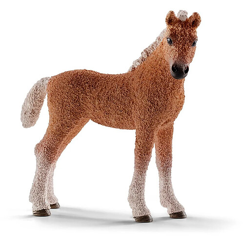 Schleich Figurine cheval : Poulain Bashkir Curly