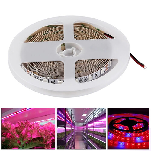 Wewoo Lampe 300 LEDS SMD 5050 5: 1 Rouge + Bleu Aquarium à effet de serre hydroponique plante cultive la Bare Board Rope Light, 60 / m, longueur: 5m, DC 12V