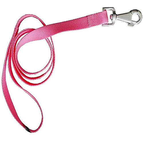 Ferplast Club G20/120 Laisse en Nylon Rose pour Chiens 120 Cm Largeur 20mm