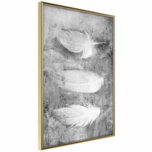 Paris Prix Affiche Murale Encadrée Delicate Feathers 40 x 60 cm Or