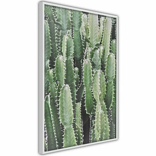 Paris Prix Affiche Murale Encadrée Cactus Plantation 30 x 45 cm Blanc