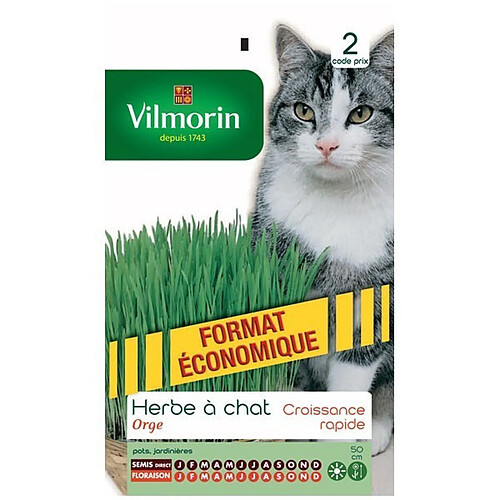 Vilmorin Sachet graines Herbe à Chat