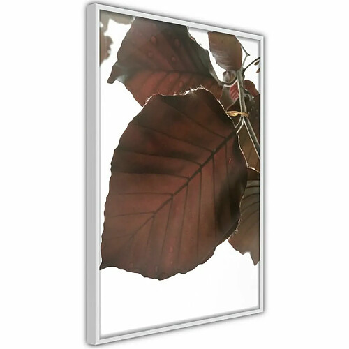 Paris Prix Affiche Murale Encadrée Burgundy Tilia Leaf 30 x 45 cm Blanc