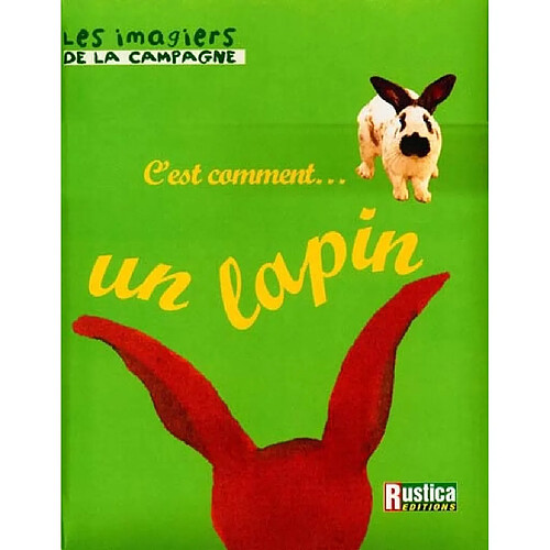 C'est comment... un lapin · Occasion