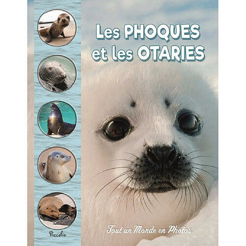 Les phoques et les otaries