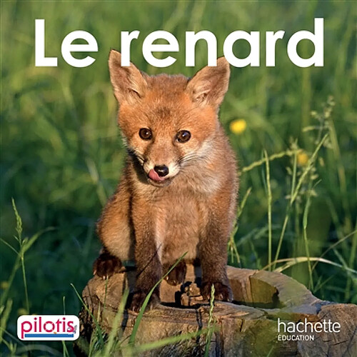 Le renard · Occasion