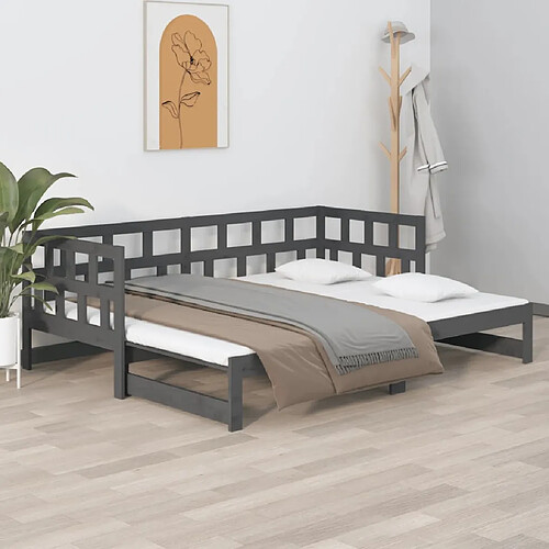 vidaXL Lit coulissant sans matelas gris 2x(90x200) cm