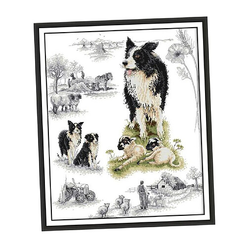 Kits Point De Croix Estampés u0026 Comptés - Motif Chien De Berger 46x54cm 14CT