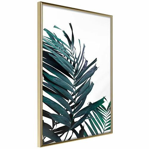 Paris Prix Affiche Murale Encadrée Evergreen Palm Leaves 30 x 45 cm Or