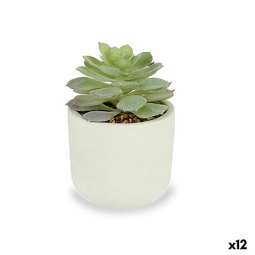 Ibergarden Plante décorative Succulent Plastique 14 x 13,5 x 14 cm (12 Unités)