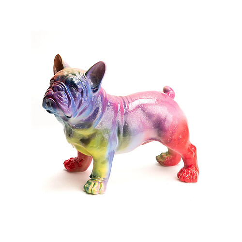 Amadeus Bulldog Français Yuki debout Rainbow XS