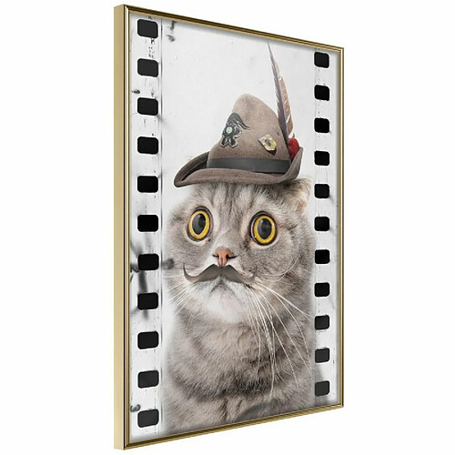 Paris Prix Affiche Murale Encadrée Dressed Up Cat 40 x 60 cm Or